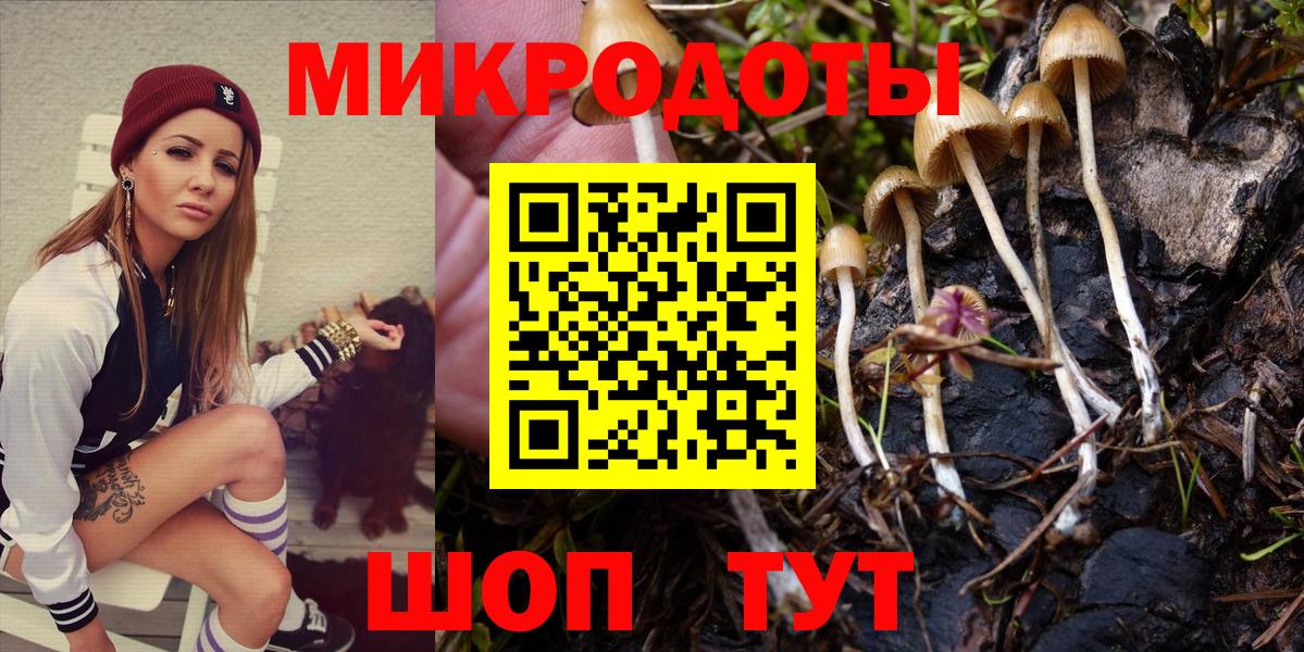 Галлюциногенные грибы Psilocybe Коркино