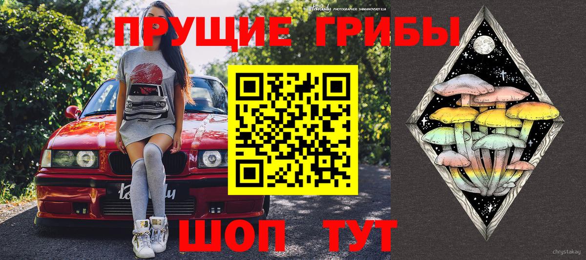 Галлюциногенные грибы мухоморы  Вход с VPN  Коркино 